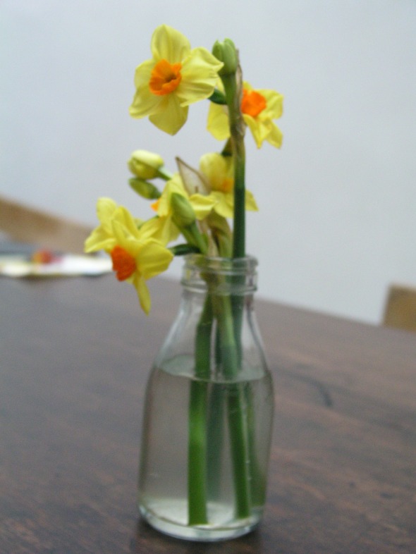 Aperture priority daffodils